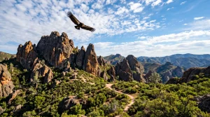 A Complete Guide to Exploring Pinnacles National Park